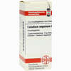 Caladium Seguin C6 Globuli 10 g - ab 9,69 €
