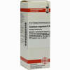 Caladium Seguin D6 Dilution 20 ml - ab 0,00 €