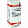 Caladium Seguinum D12 Globuli 10 g - ab 7,55 €