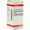 Calcium Arsenic D6 Tabletten 80 Stück - ab 9,26 €