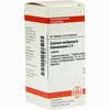Calcium Carb Hahnemanni C6 Tabletten 80 Stück - ab 0,00 €