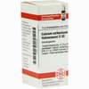 Calcium Carb Hahnemanni D30 Globuli 10 g - ab 6,70 €