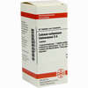 Calcium Carb Hahnemanni D6 Tabletten 80 Stück - ab 6,63 €