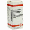 Calcium Carb Hahnemanni D6 Tabletten 80 Stück - ab 7,84 €