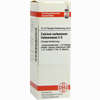 Calcium Carbonicum Hahnemanni C6 Dilution 20 ml - ab 7,49 €