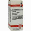 Calcium Fluorat C10 Globuli 10 g - ab 7,55 €