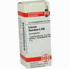 Calcium Fluorat C200 Globuli 10 g - ab 12,97 €