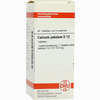 Calcium Jodat D12 Tabletten 80 Stück - ab 9,10 €