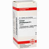 Calcium Phos D4 Tabletten 80 Stück - ab 6,93 €