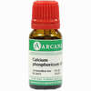 Calcium Phosphor Lm 6 10 ml - ab 7,78 €