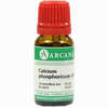 Calcium Phosphor Lm 6 10 ml - ab 9,64 €