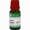 Calcium Silicatum Lm 6 10 ml - ab 7,66 €