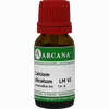 Calcium Silicatum Lm 6 10 ml - ab 9,64 €