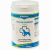 Calciumcarbonat Vet 1000 g - ab 6,21 €