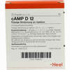 Camp D12 Ampullen 10 Stück - ab 0,00 €
