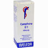 Camphora D 1 Dilution 20 ml - ab 16,32 €