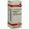 Camphora D10 Globuli 10 g - ab 7,46 €
