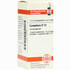 Camphora D12 Globuli 10 g - ab 6,98 €