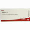 Camphora D3 Ampullen 10 x 1 ml - ab 18,99 €