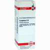 Camphora D6 Dilution 20 ml - ab 7,84 €