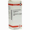 Camphora Urtinktur D 1 Dilution 20 ml - ab 10,19 €