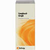 Camphoral- Stroph Tropfen 100 ml - ab 21,93 €