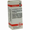 Candida Albicans C200 Globuli  10 g - ab 12,96 €