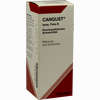 Cangust Spag Tropfen 100 ml - ab 16,67 €