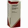Cangust Spag Tropfen 100 ml - ab 18,87 €