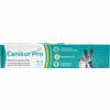 Canikur Pro Vet. Paste 60 ml - ab 22,30 €