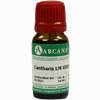 Cantharis Arca Lm 18 10 ml - ab 12,79 €