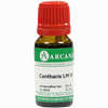 Cantharis Arca Lm 6 10 ml - ab 7,57 €