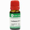 Cantharis Arca Lm 6 10 ml - ab 9,64 €