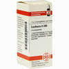 Cantharis D200 Globuli 10 g - ab 14,31 €