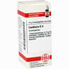 Cantharis D4 Globuli 10 g - ab 6,98 €