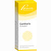 Cantharis Similiaplex Tropfen 50 ml - ab 12,38 €