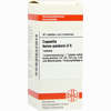 Capsella Bur. Past. D6 Tabletten 80 Stück - ab 9,29 €