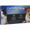 Capstar 11.4mg für Katzen und Kleine Hunde Tabletten 6 Stück - ab 15,13 €