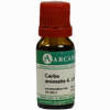 Carbo Animalis Arca Lm 6 10 ml - ab 9,64 €