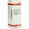 Carbo Animalis D6 Dilution 20 ml - ab 9,30 €