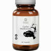 Carbo Medicinalis Kapseln Shanab  60 Stück - ab 13,10 €