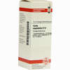 Carbo Veg D12 Dilution 20 ml - ab 8,38 €