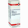 Carbo Vegetabilis C6 Dilution 20 ml - ab 8,38 €