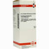 Cardiospermum D2 Dilution 50 ml - ab 0,00 €