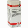 Cardiospermum D4 Globuli 10 g - ab 7,55 €