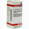 Carduus Mar D3 Globuli 10 g - ab 7,55 €