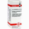 Carduus Mar D4 Globuli 10 g - ab 7,55 €