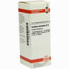 Carduus Mar D6 Dilution 20 ml - ab 7,60 €