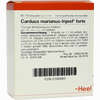 Carduus Marianus- Injeel Forte Ampullen  10 Stück - ab 15,23 €