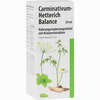 Carminativum- Hetterich Balance Tropfen 20 ml